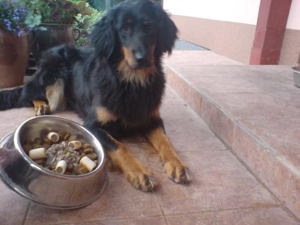 s tortou